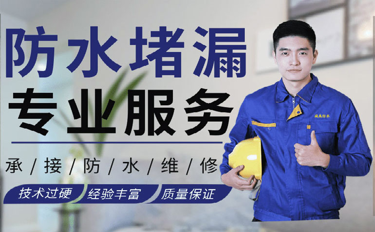 东莞专业防水补漏公司 东莞专业防水补漏公司