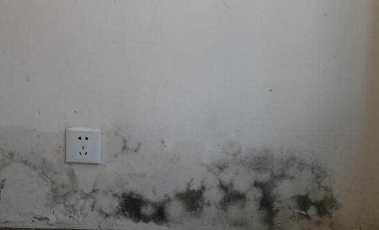 墙壁渗水怎么办，墙壁渗水漏水维修